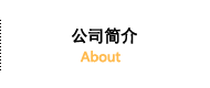公司简介