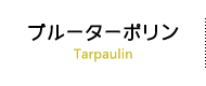 ブルーターポリン